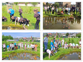 Creating a Pond with Linnvale Primary School