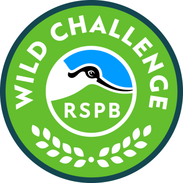 Wild Challenge Award