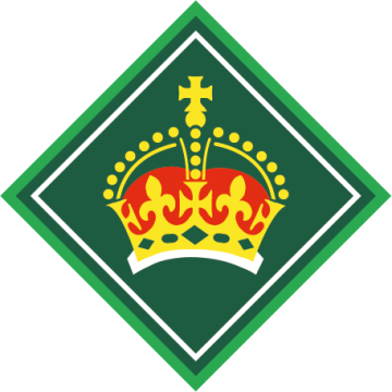 King’s Scout Award