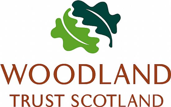 The Woodland Trust’s Green Tree Schools Award